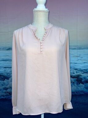 Ann Taylor Pale Pink Long-Sleeve Button-Front Blouse with ruching